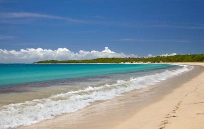 Our Signature Sightseeing Tours